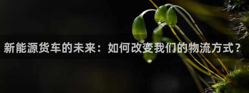 腾众娱乐彩票：新能源货车的未来：如何改变