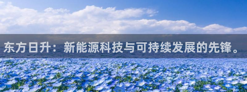 楚雄众腾娱乐在哪里：东方日升：新能源科技