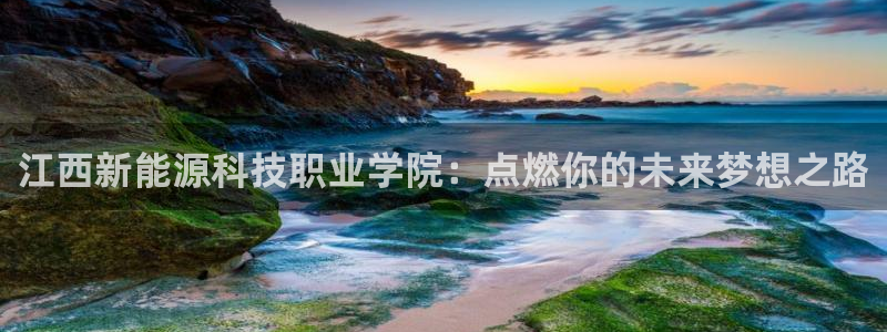 众腾娱乐邵阳：江西新能源科技职业学院：点