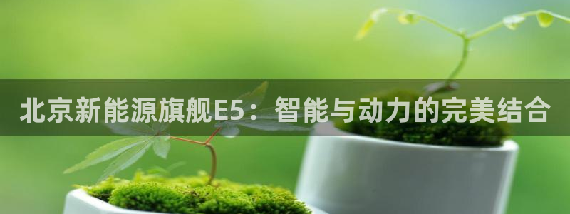 腾众娱乐彩票：北京新能源旗舰E5：智能与