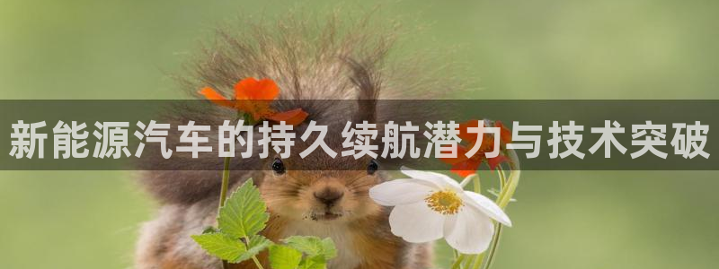 楚雄众腾娱乐：新能源汽车的持久续航潜力与