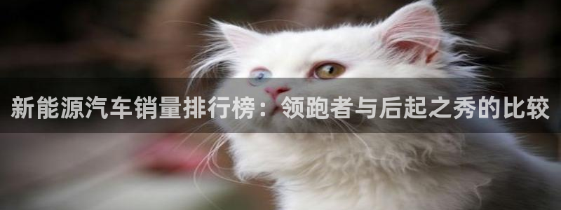 众腾娱乐代理怎么样：新能源汽车销量排行榜