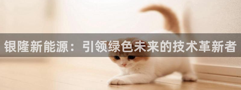 众腾娱乐集团有限公司：银隆新能源：引领绿