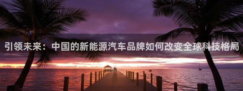 腾耀娱乐29999出众：引领未来：中国的