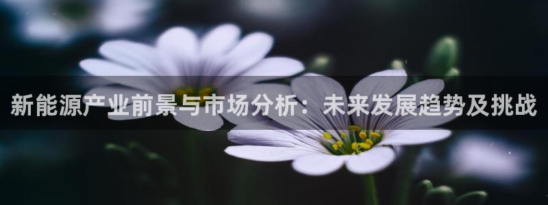 腾耀3娱乐众123:新能源产业前景与市场分析:未来发展趋势及