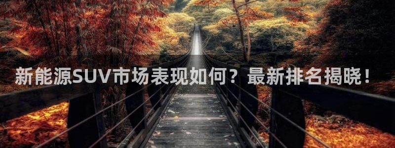 众腾娱乐官方客服电话：新能源SUV市场表