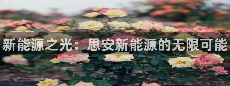 众腾娱乐公司简介:新能源之光:思安新能源的无限可能