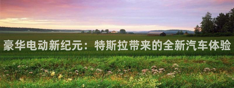 众腾娱乐app:豪华电动新纪元:特斯拉带来的全新汽车体验