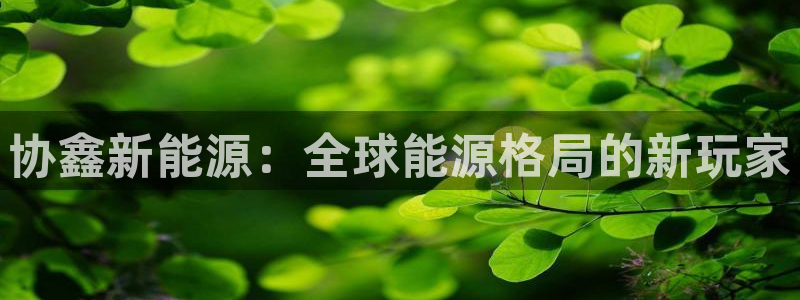 众腾娱乐下7O777:协鑫新能源:全球能源格局的新玩家