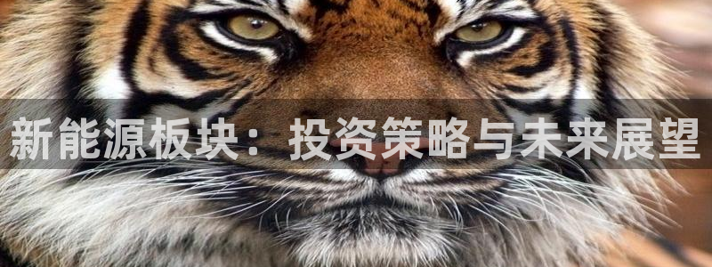 腾耀3娱乐众123:新能源板块:投资策略与未来展望