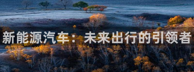 腾耀娱乐众推99840:新能源汽车:未来出行的引领者