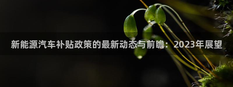 楚雄众腾娱乐是干什么的:新能源汽车补贴政策的最新动态与前瞻: