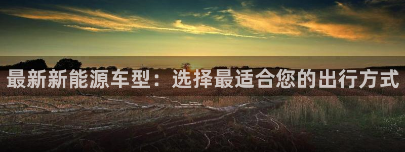 众腾娱乐梦幻演艺店:最新新能源车型:选择最适合您的出行方式
