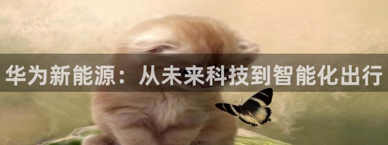 众腾娱乐发7O777