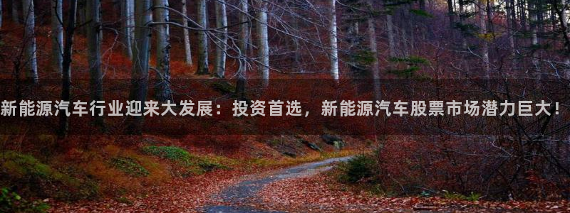 楚雄众腾娱乐在哪里:新能源汽车行业迎来大发展:投资首选,新能