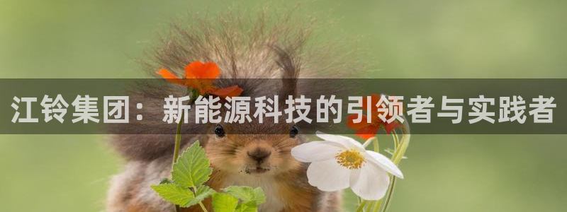 彝族自治州众腾娱乐
