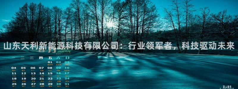众腾娱乐公司简介:山东天利新能源科技有限公司:行业领军者,科