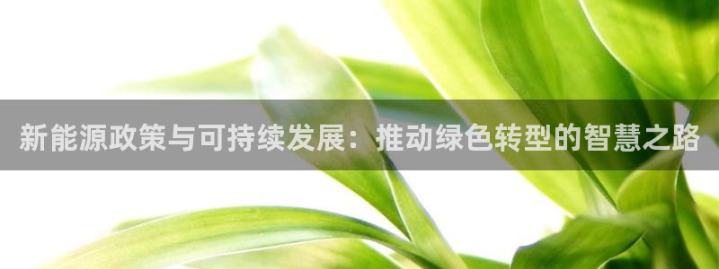云南众腾娱乐：新能源政策与可持续发展：推