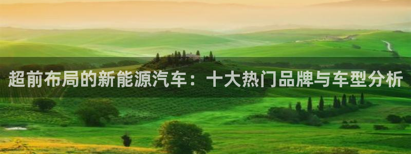 腾众娱乐：超前布局的新能源汽车：十大热门
