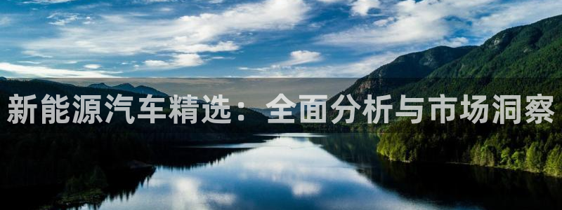 腾耀3娱乐众推8 28:新能源汽车精选:全面分析与市场洞察