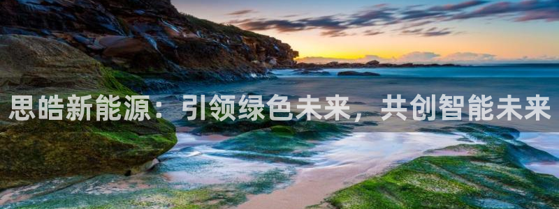 腾耀娱乐众推46996：思皓新能源：引领