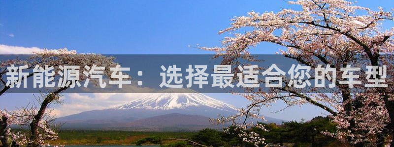 包头众腾娱乐：新能源汽车：选择最适合您的