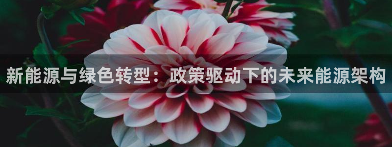 楚雄众腾娱乐在哪里：新能源与绿色转型：政