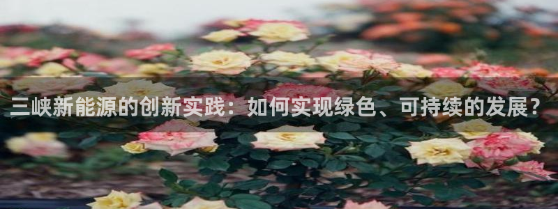 众腾娱乐APP下载：三峡新能源的创新实践