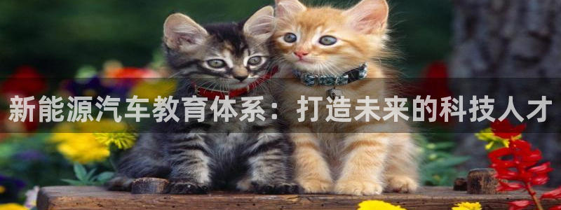 众腾娱乐APP下载:新能源汽车教育体系:打造未来的科技人才