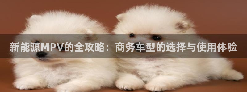 众腾娱乐APP下载:新能源MPV的全攻略:商务车型的选择与使