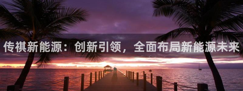 楚雄众腾娱乐是干什么的：传祺新能源：创新