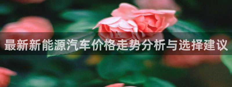 众腾娱乐代理怎么样：最新新能源汽车价格走