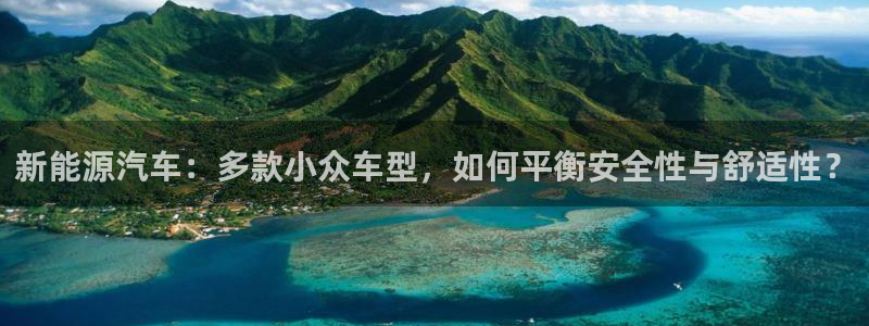 众东腾娱乐客服：新能源汽车：多款小众车型