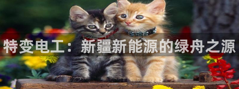 腾耀娱乐众推46996：特变电工：新疆新