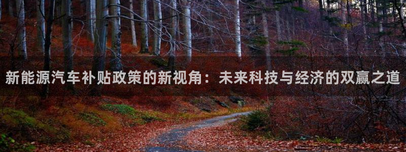 众腾娱乐平台下载:新能源汽车补贴政策的新视角:未来科技与经济