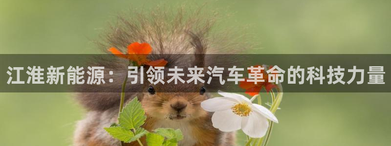众腾娱乐发7O777:江淮新能源:引领未来汽车革命的科技力量