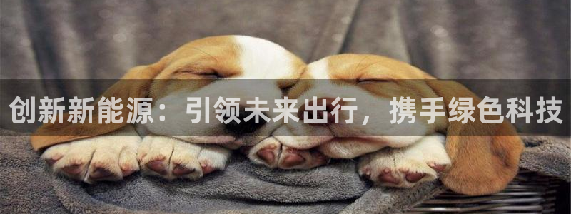 腾众娱乐:创新新能源:引领未来出行,携手绿色科技