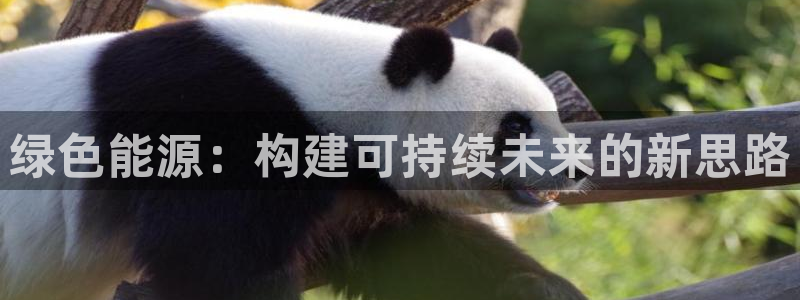 众东腾娱乐客服:绿色能源:构建可持续未来的新思路