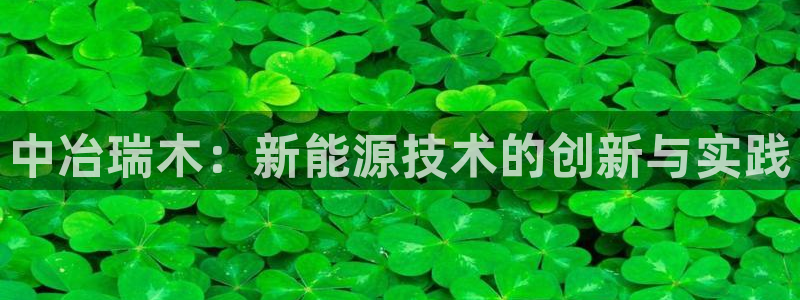 众腾娱乐公司简介：中冶瑞木：新能源技术的