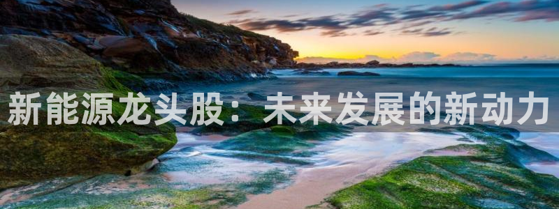 楚雄众腾娱乐是干什么的:新能源龙头股:未来发展的新动力