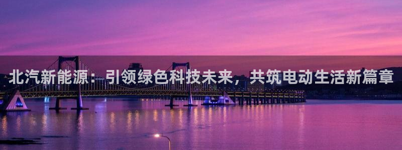 腾耀娱乐29999出众：北汽新能源：引领