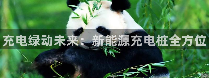 众腾娱乐毕 7O935：充电绿动未来：新