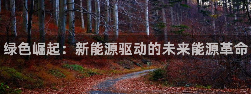众腾娱乐平台下载：绿色崛起：新能源驱动的