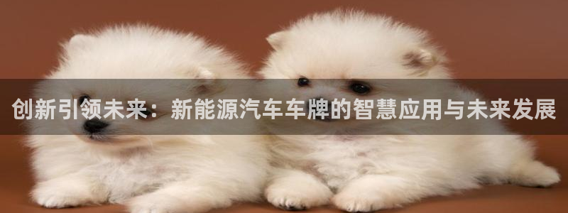 众腾娱乐得7O777：创新引领未来：新能