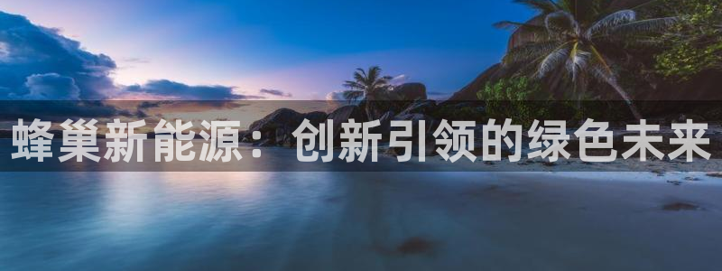 众腾娱乐平台官网入口：蜂巢新能源：创新引