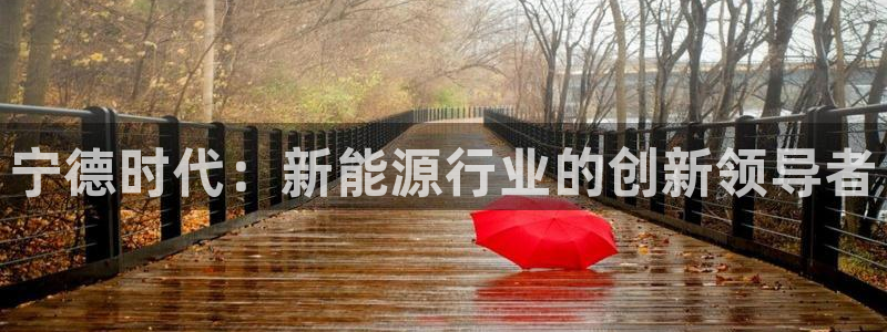 岳阳众腾ktv娱乐:宁德时代:新能源行业的创新领导者