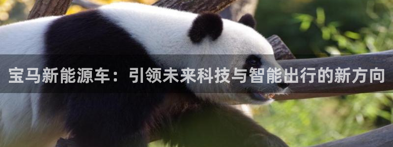 腾众娱乐是什么：宝马新能源车：引领未来科