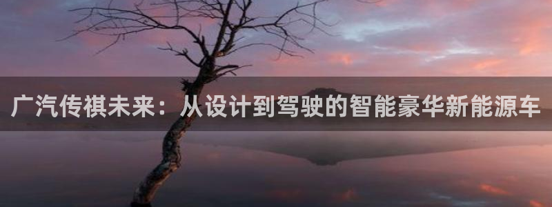 腾讯旗下的腾众娱乐：广汽传祺未来：从设计