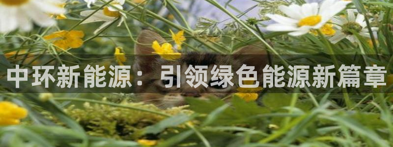 云南众腾娱乐：中环新能源：引领绿色能源新