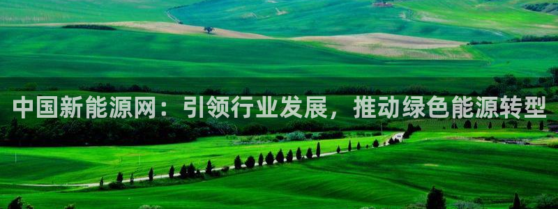楚雄众腾娱乐在哪里：中国新能源网：引领行